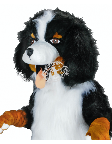 213b Berner Sennenhund Kostüm Maskottchen günstig kaufen