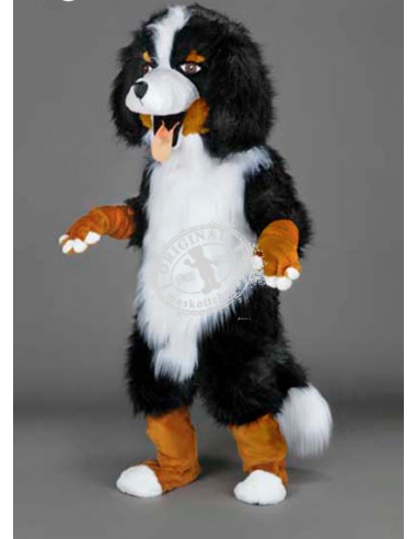 213b Berner Sennenhund Kostüm Maskottchen günstig kaufen