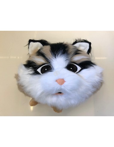 134b1 Katze Kostüm Maskottchen günstig kaufen